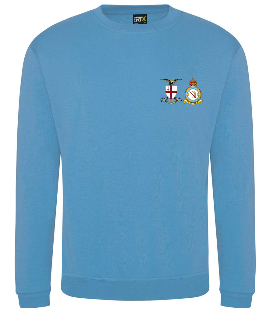 City of London 600 Squadron Pro RTX Unisex Sweatshirt - RX301
