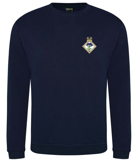 HMS EAGLET Pro RTX Unisex Sweatshirt - RX301