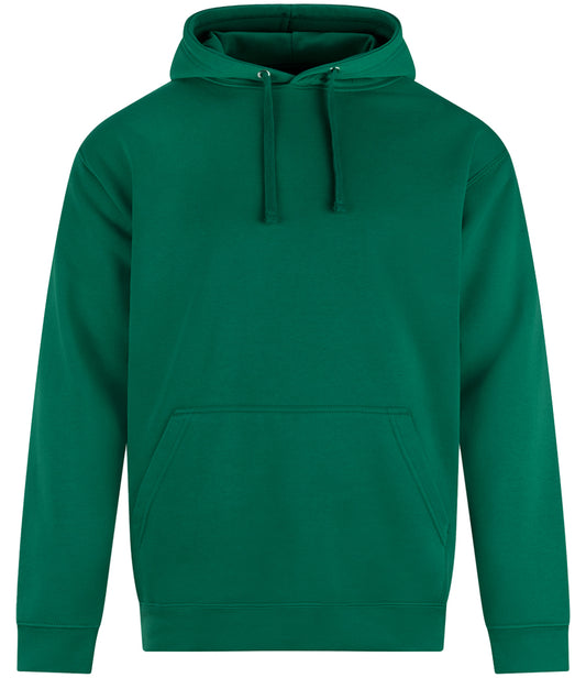 TS DRAGON - Pro RTX Hoodie